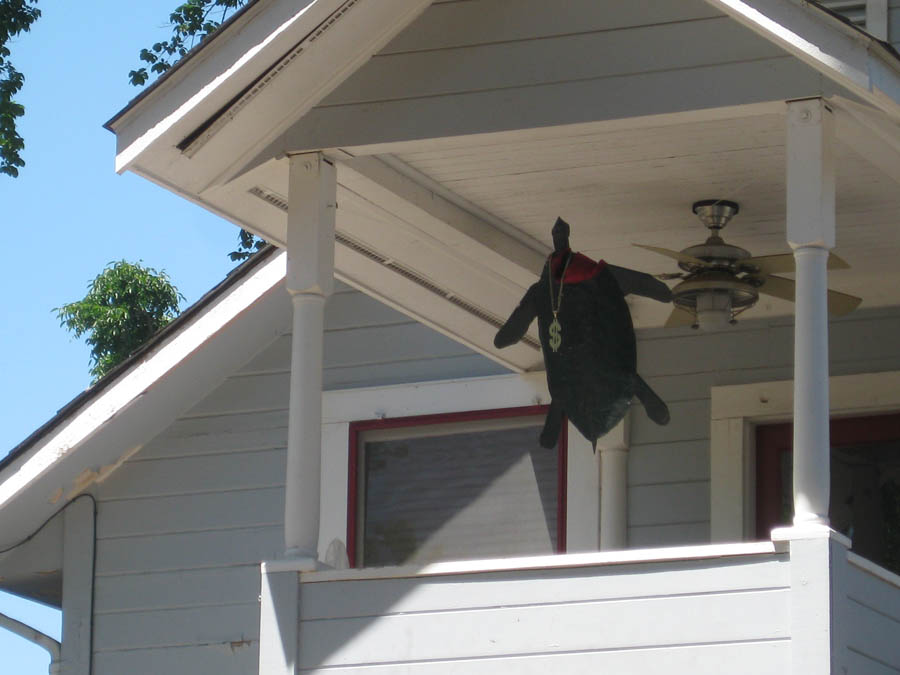 Information about "turtle.jpg" on turtle house Davis LocalWiki